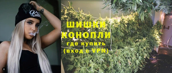 ПСИЛОЦИБИНОВЫЕ ГРИБЫ Алзамай
