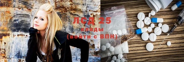 прущие грибы Алексин