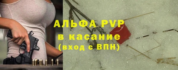 ПСИЛОЦИБИНОВЫЕ ГРИБЫ Алзамай